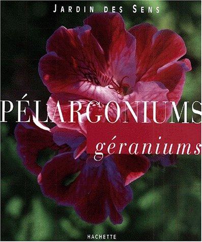 Plargoniums, graniums