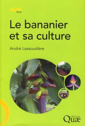 Le bananier et sa culture