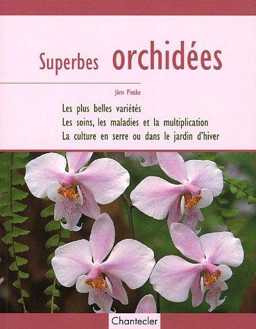 Superbes orchidées