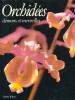 Orchidées - Démons et Merveilles