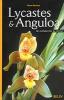 Lycastes et Anguloa, des orchidées hors du commun