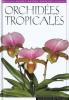 Orchidées tropicales