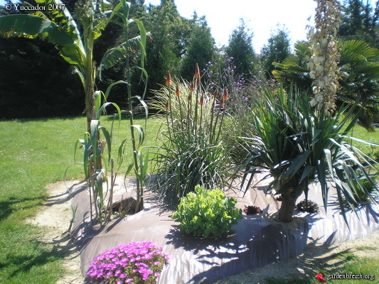 Quelles Plantes Autour D Une Piscine