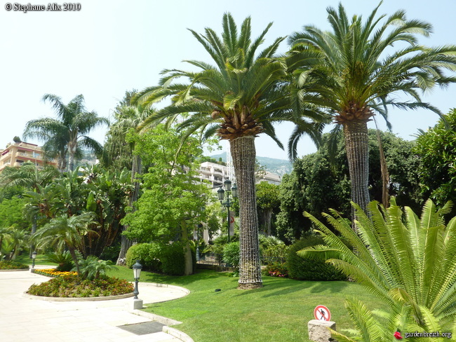 Les Jardins Du Casino Monaco