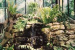 vignette Kew Gardens - la serre aux orchides