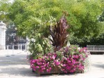 vignette Kew Gardens - jardinire fleurie