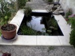 vignette mon bassin sur ma terrasse