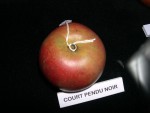 vignette pomme 'Court Pendu Noir'