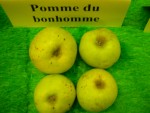 vignette pomme 'Du Bonhomme',  cidre
