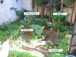 vignette 4) Jardin avec Noms des Plantes