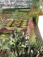 vignette Jardin Botanique de Funchal - les jardins artistiques