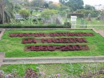 vignette Jardim Botanico da Madeira - 1960-2007