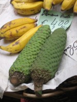 vignette banana prata et ceriman, banana-ananaz, fruit du monstera deliciosa