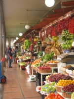 vignette Funchal - mercado dos lavradores