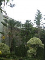 vignette Jardin Botanique de Funchal - le jardin des topiaires