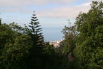 vignette vue sur Funchal