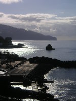 vignette Piscines naturelles  Funchal