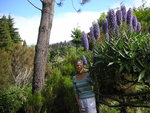 vignette Anne et les Echiums candicans