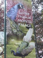 vignette Jardin Tropical de Monte Palace