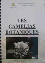 vignette Camlia : Les Camelias botaniques