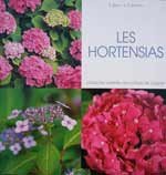 vignette hortensia : Les Hortensias