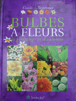 vignette Bulbes  fleurs