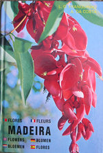 vignette Madeira, Flores, Fleurs, Flowers, Blumen, Bloemen