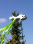 vignette Poisson volant dans le jardin