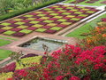 vignette Mosaiques au jardin Botanique de Funchal