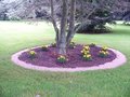 vignette parterre autour du cdre