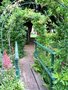 vignette glycine sur pont vert