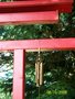 vignette torii japonais
