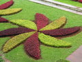 vignette Mosaiques au jardin Botanique de Funchal