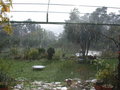 vignette jardin sous la pluie