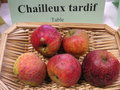 vignette Pomme 'Chailleux Tardif '