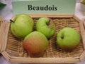 vignette Pomme 'Beaudois'