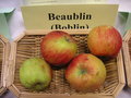 vignette Pomme 'Beaublin'='Boblin'