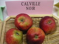 vignette Pomme 'Calville Noir'