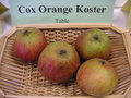 vignette Pomme 'Cox's Orange Koster'