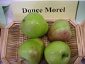 vignette Pomme 'Douce'Morel'