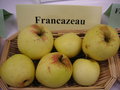 vignette Pomme 'Francazeau