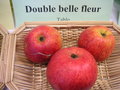 vignette Pomme 'Double Belle Fleur'