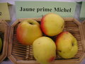 vignette Pomme 'Jaune Prime Michel'