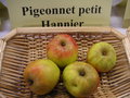 vignette Pomme 'Pigeonnet Petit Hannier'
