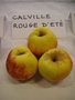 vignette Pomme 'Calville Rouge d'Et'