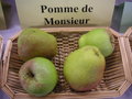 vignette Pomme 'de Monsieur'