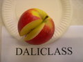 vignette Pomme 'Daliclass'