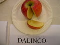 vignette Pomme 'Dalinco'