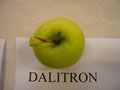vignette Pomme 'Dalitron'