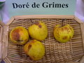 vignette Pomme 'Dor de Grimes'